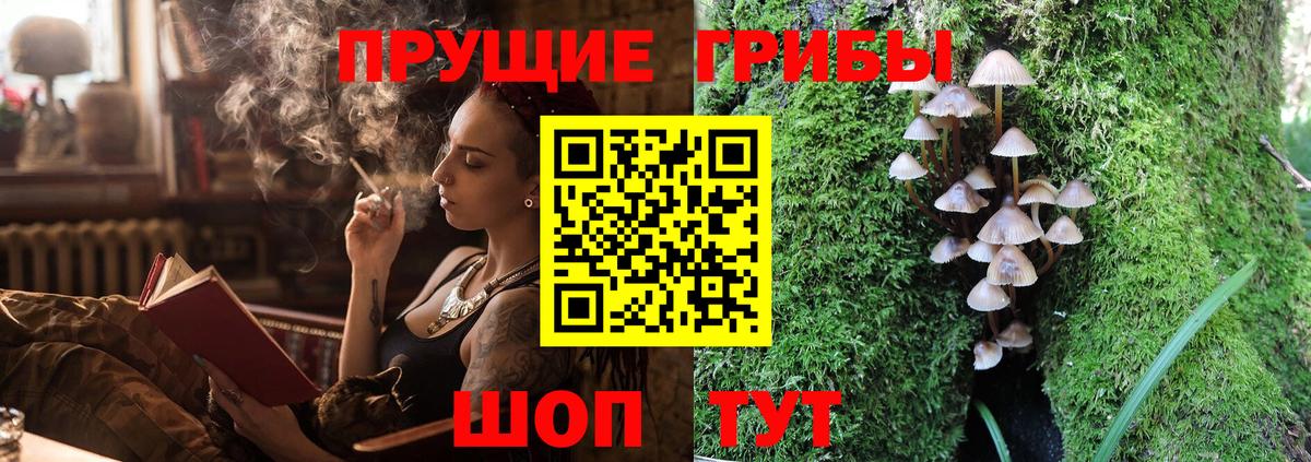 Псилоцибиновые грибы MAGIC MUSHROOMS  Вход с VPN  Псилоцибиновые грибы Psilocybine cubensis  Глазов 