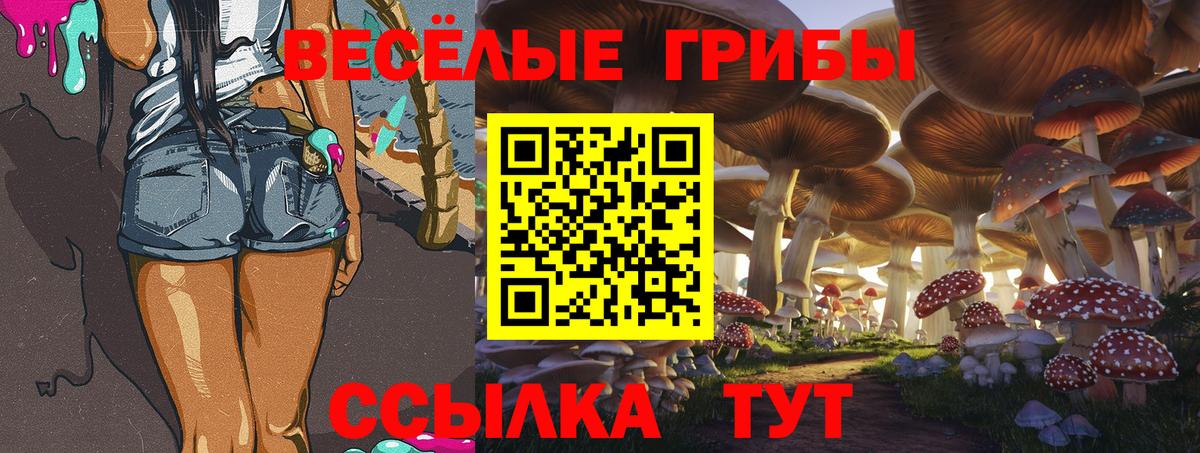 Псилоцибиновые грибы Psilocybe Глазов